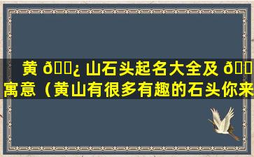 黄 🌿 山石头起名大全及 🌾 寓意（黄山有很多有趣的石头你来给它们起个好听的名字吧）